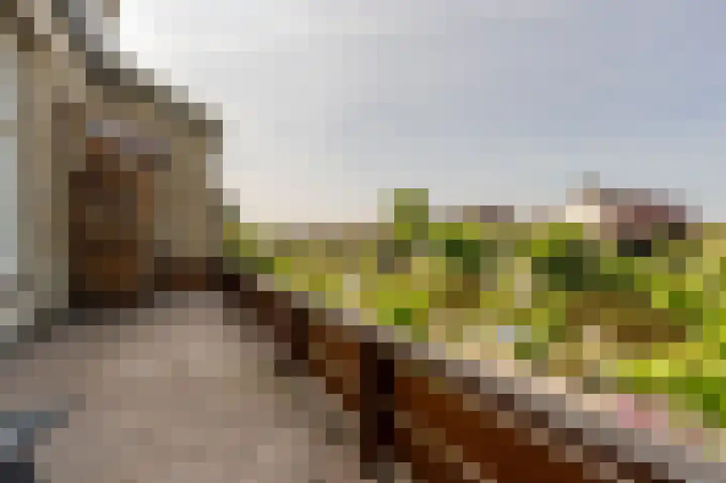 Molenstraat 66 Strijen thumbnail 55