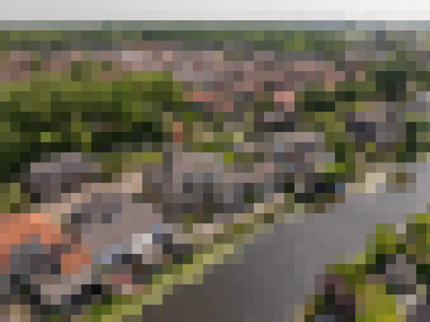 Molenstraat 66 Strijen thumbnail 56