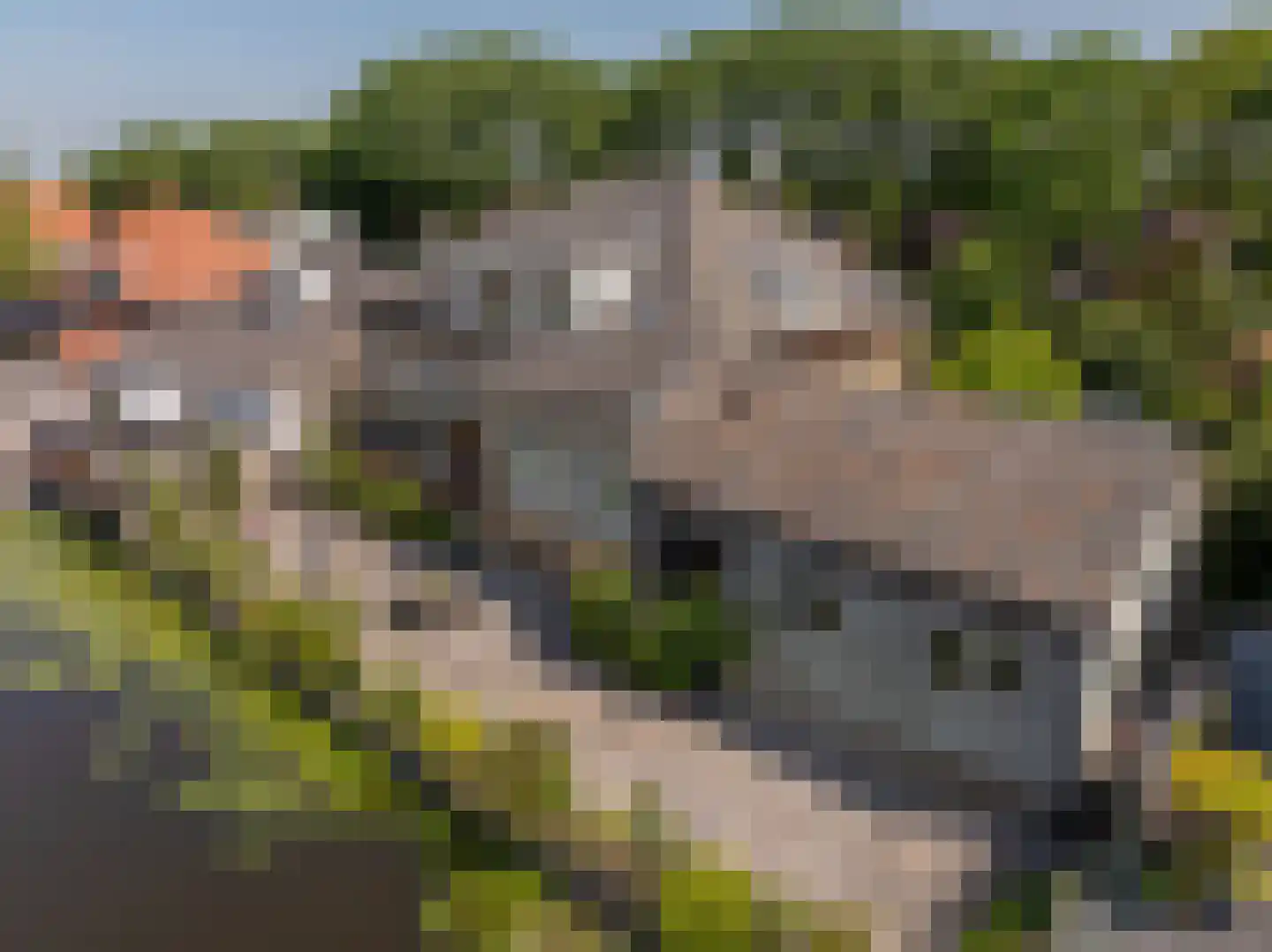 Molenstraat 66 Strijen thumbnail 6