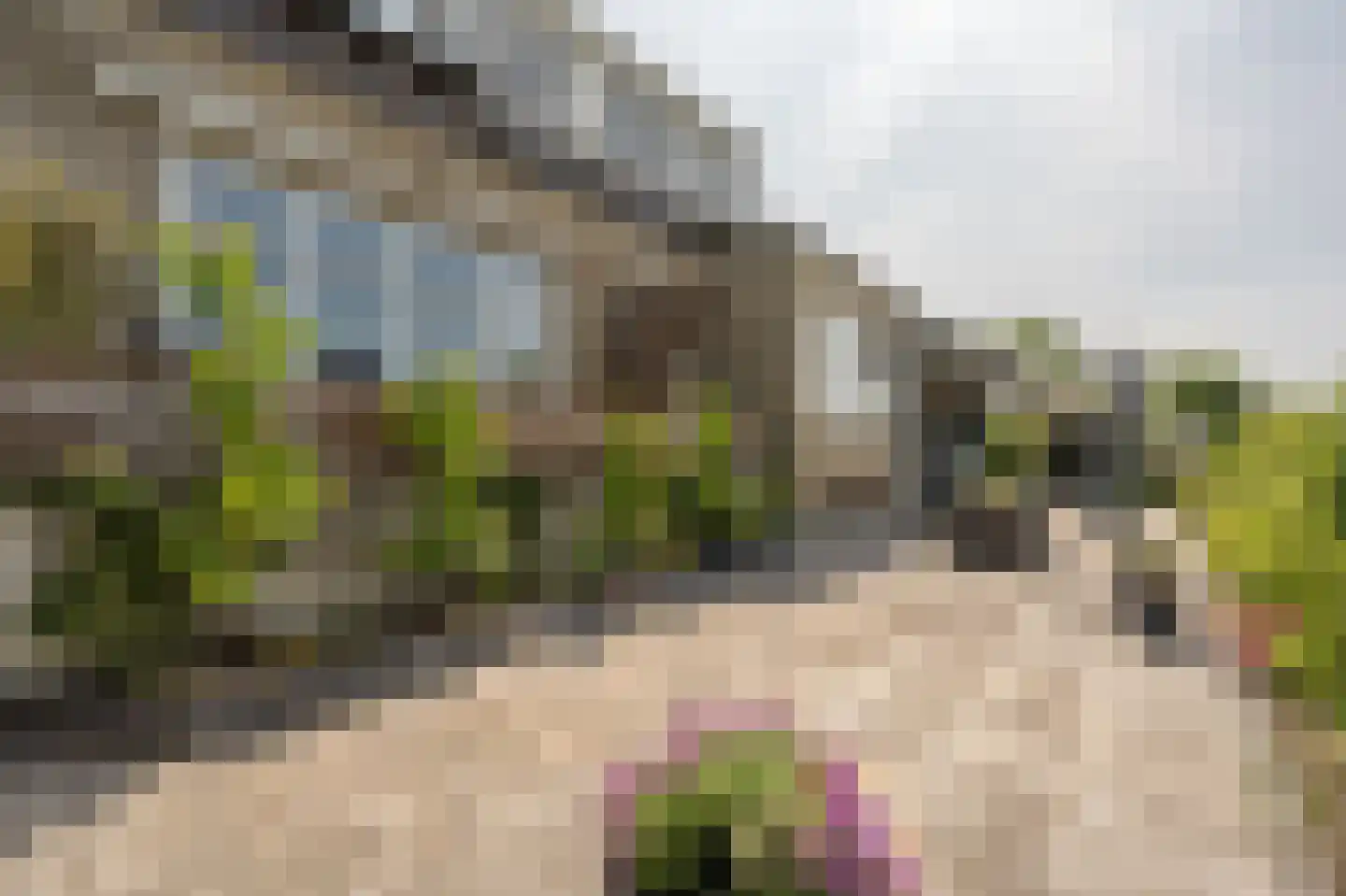 Molenstraat 66 Strijen thumbnail 8