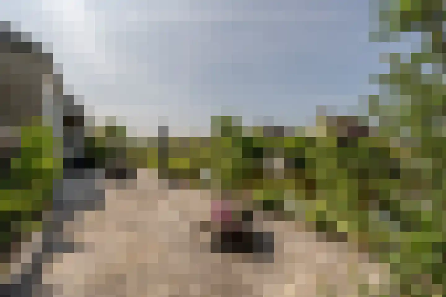 Molenstraat 66 Strijen thumbnail 9