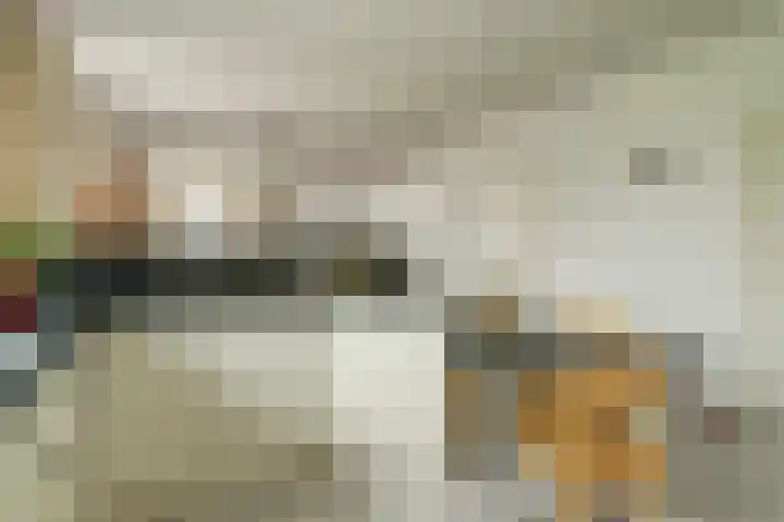 Molenstraat 68 Maasbree thumbnail 17
