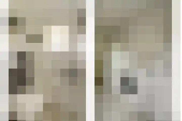 Molenstraat 68 Maasbree thumbnail 24