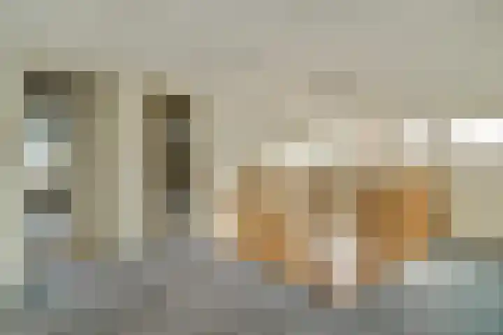 Molenstraat 68 Maasbree thumbnail 26