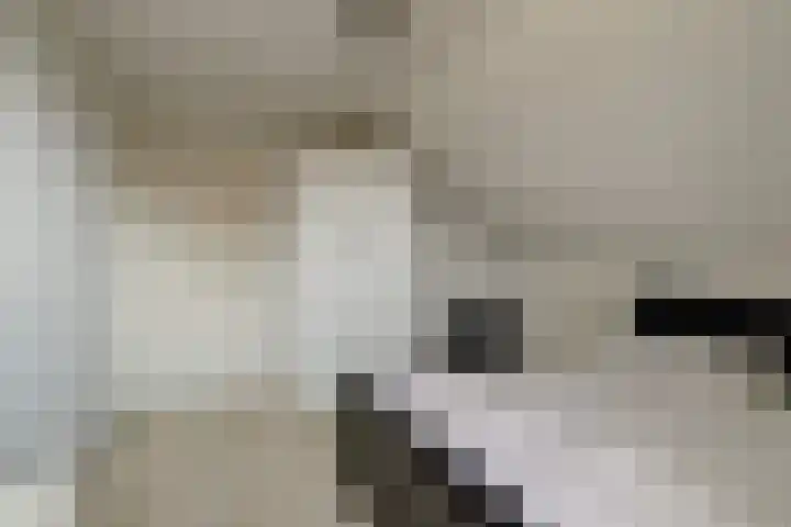 Molenstraat 68 Maasbree thumbnail 29