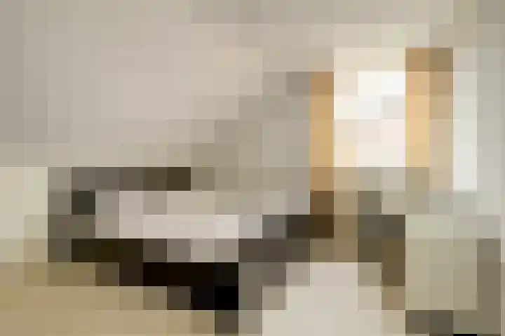 Molenstraat 68 Maasbree thumbnail 30