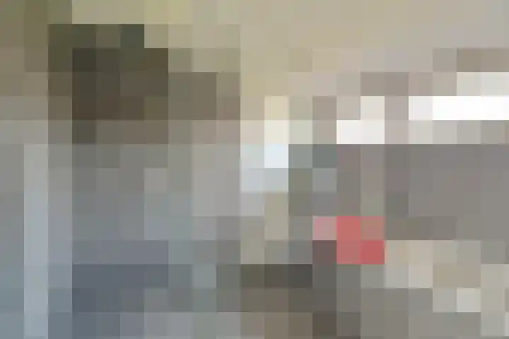 Molenstraat 68 Maasbree thumbnail 36