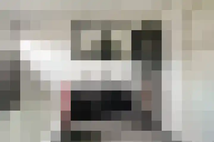 Molenstraat 68 Maasbree thumbnail 37