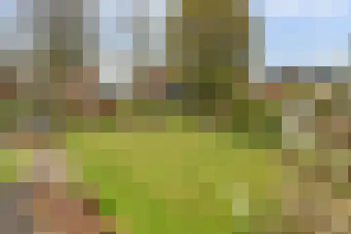 Molenstraat 68 Maasbree thumbnail 41