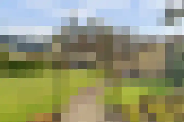 Molenstraat 68 Maasbree thumbnail 45