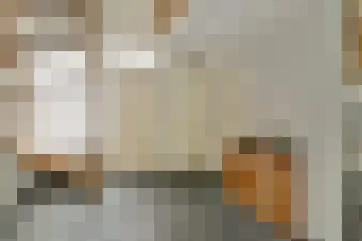 Molenstraat 68 Maasbree thumbnail 6