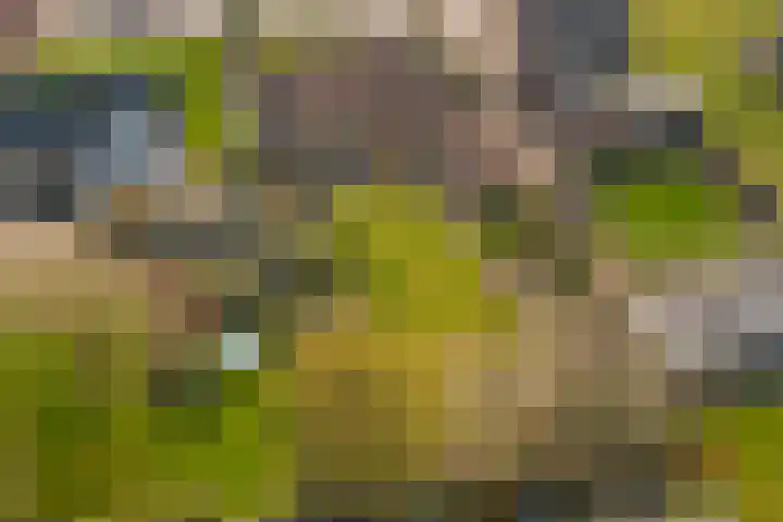 Molenstraat 68 Maasbree thumbnail 63
