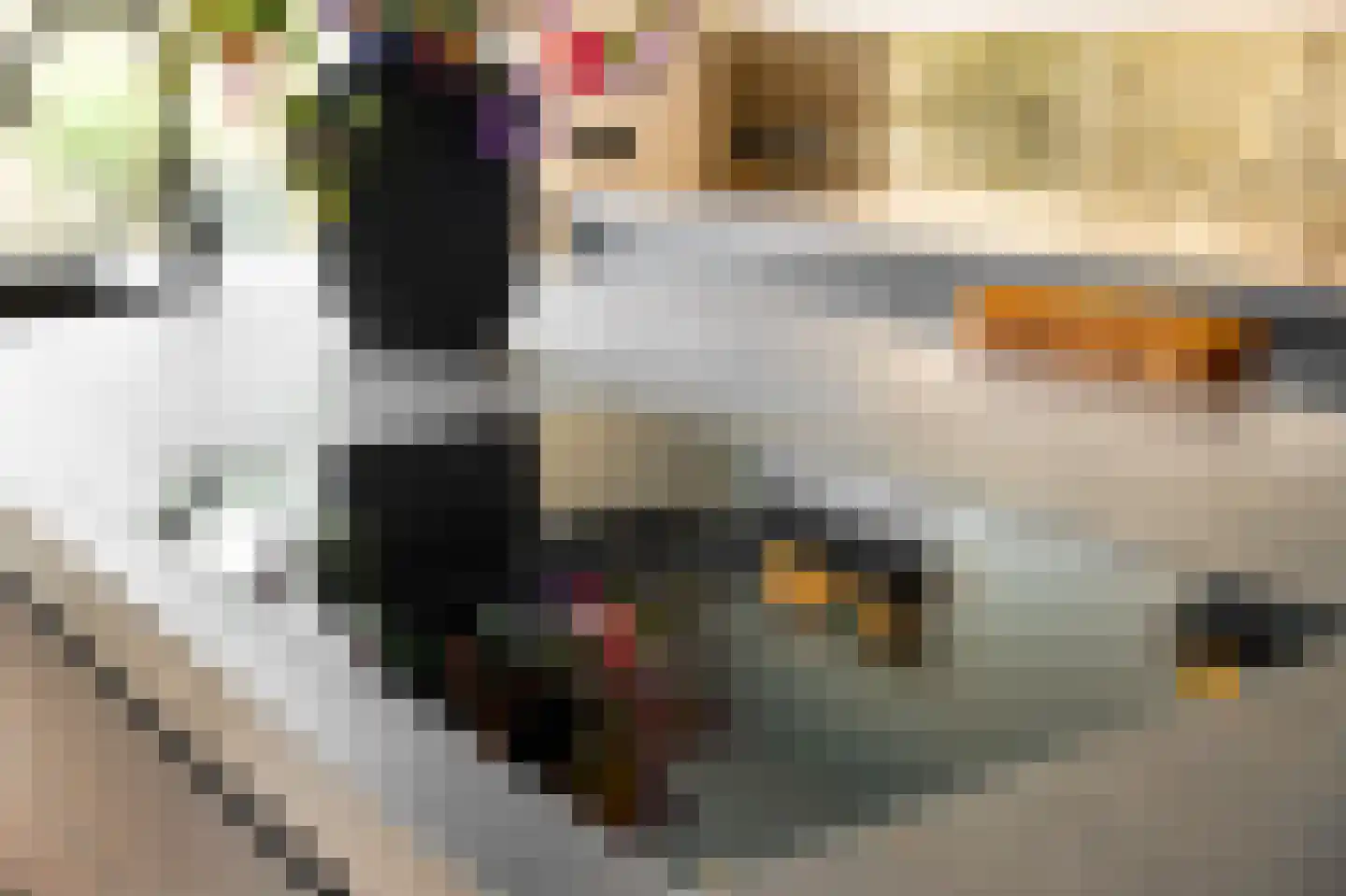 Molenstraat 7 Groede thumbnail 20
