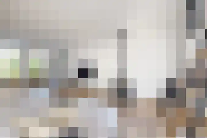 Molenstraat 7 Klundert thumbnail 16