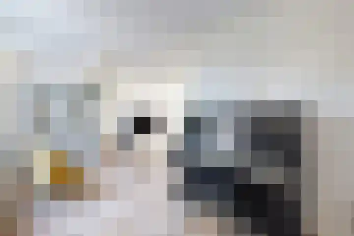 Molenstraat 7 Klundert thumbnail 23