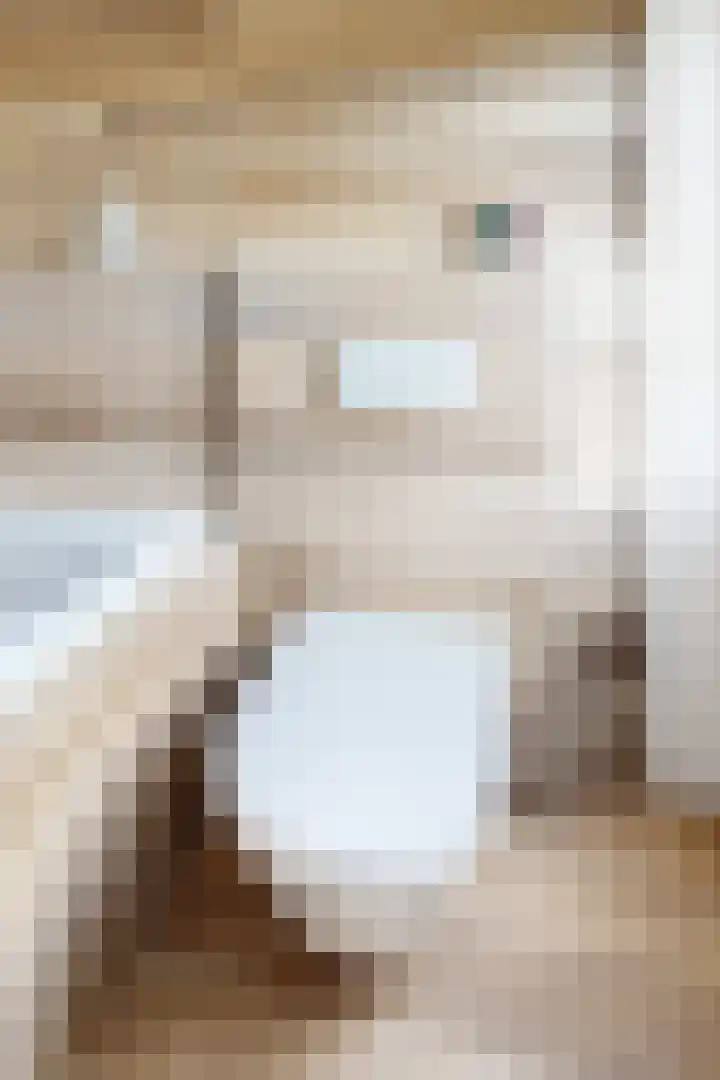Molenstraat 7 Klundert thumbnail 51
