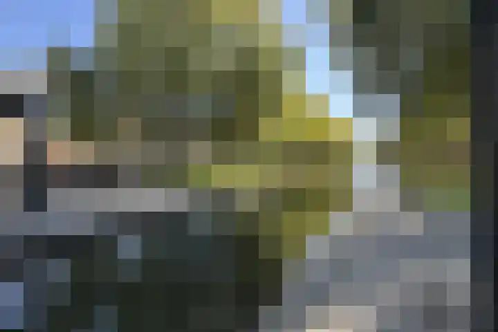 Molenstraat 7 Klundert thumbnail 77