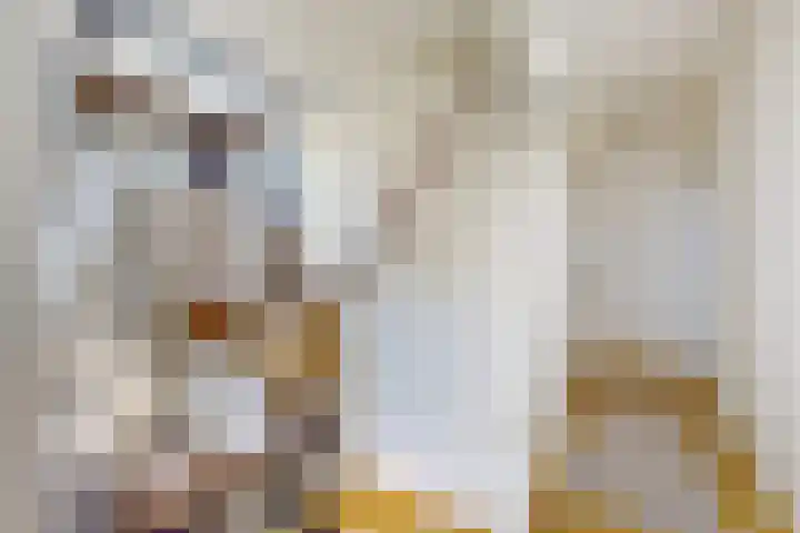 Molenstraat 7 Klundert thumbnail 8