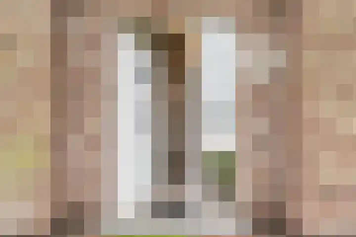 Molenstraat 7 Westdorpe thumbnail 5