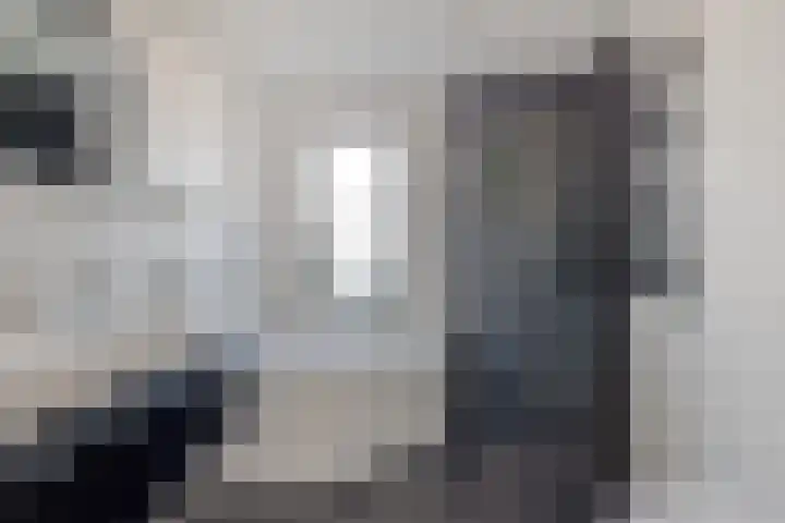 Molenstraat 73 Goor thumbnail 20