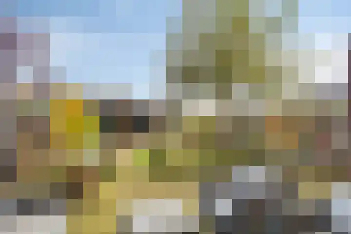Molenstraat 73 Goor thumbnail 30