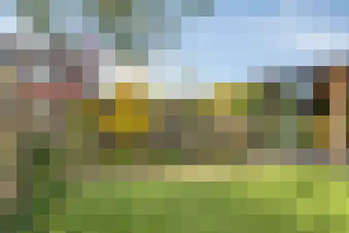Molenstraat 73 Goor thumbnail 33