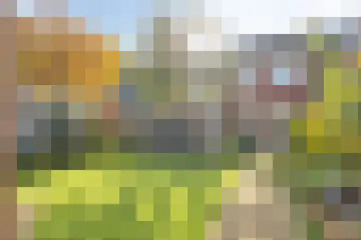 Molenstraat 73 Goor thumbnail 35