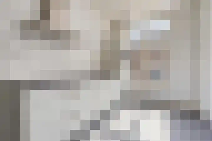 Molenstraat 76 Oss foto 3