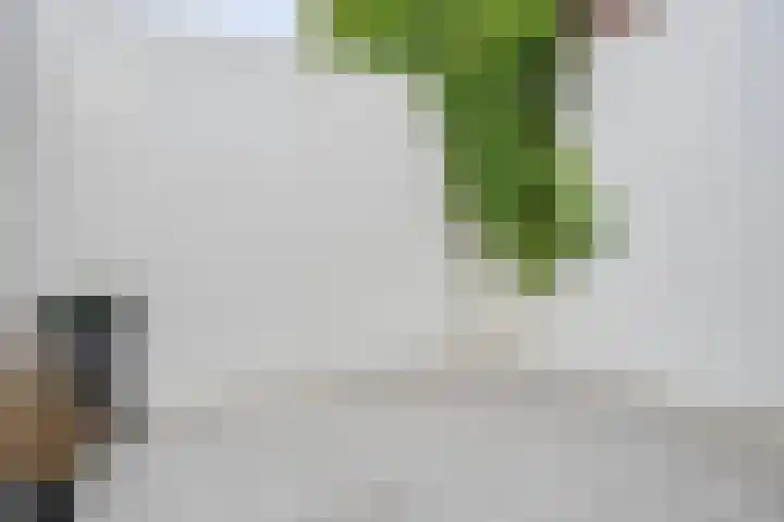 Molenstraat 76 Oss thumbnail 5