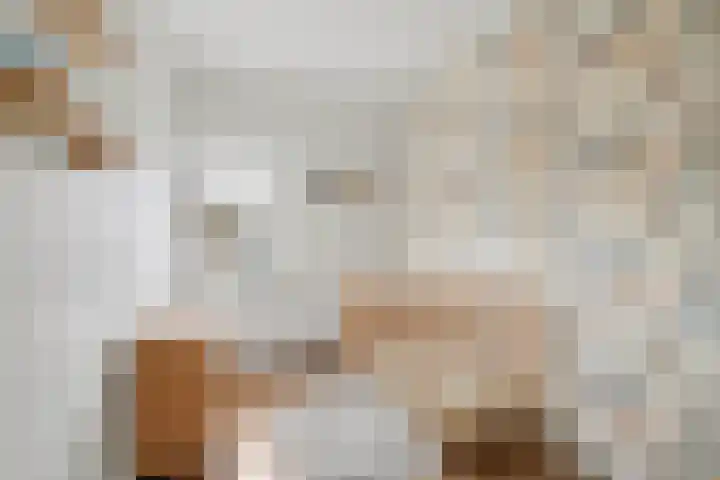 Molenstraat 77 Monster thumbnail 22
