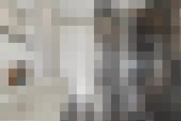 Molenstraat 77 Monster thumbnail 28