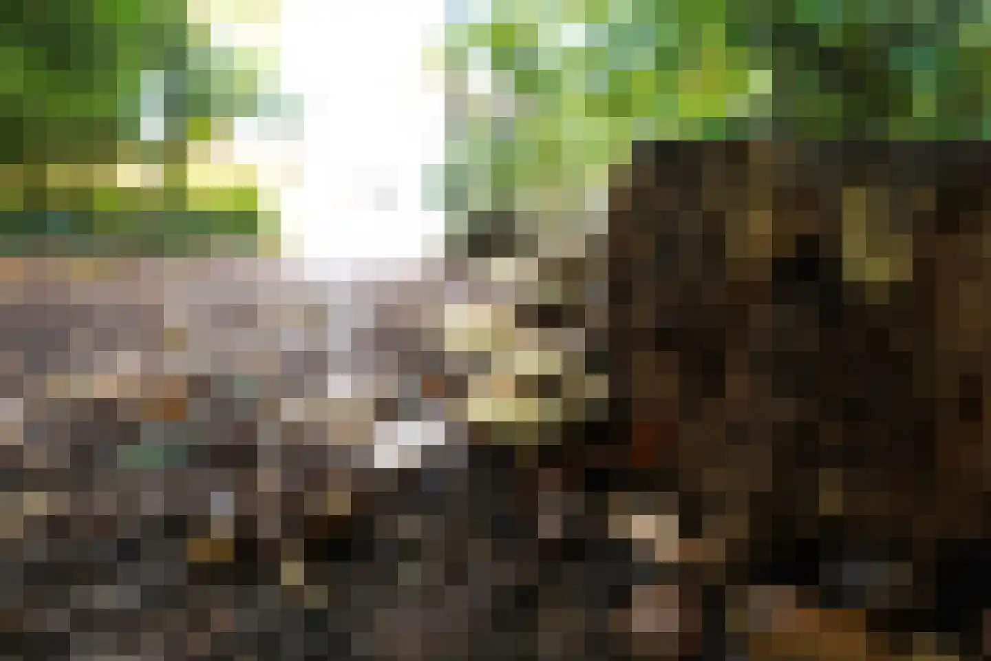 Molenstraat 77 Monster thumbnail 40