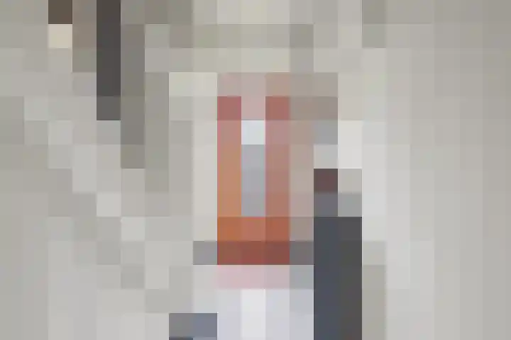 Molenstraat 77 Monster thumbnail 5