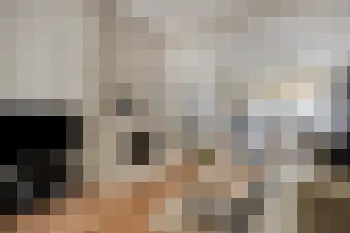 Molenstraat 79 Oss thumbnail 13