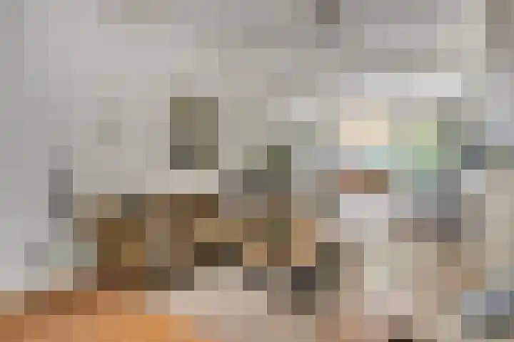 Molenstraat 79 Oss thumbnail 15