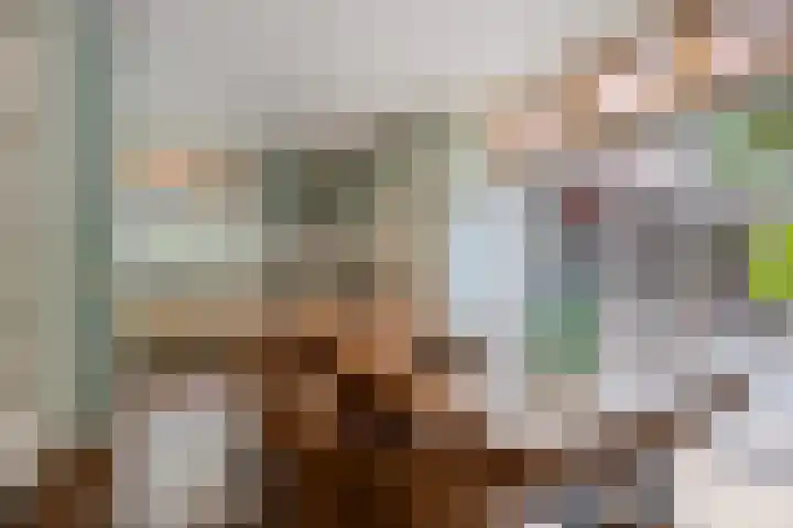 Molenstraat 79 Oss thumbnail 20
