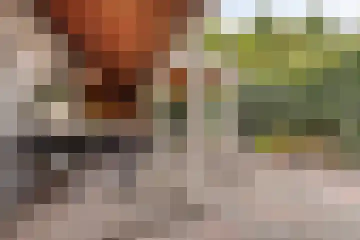 Molenstraat 79 Oss thumbnail 24