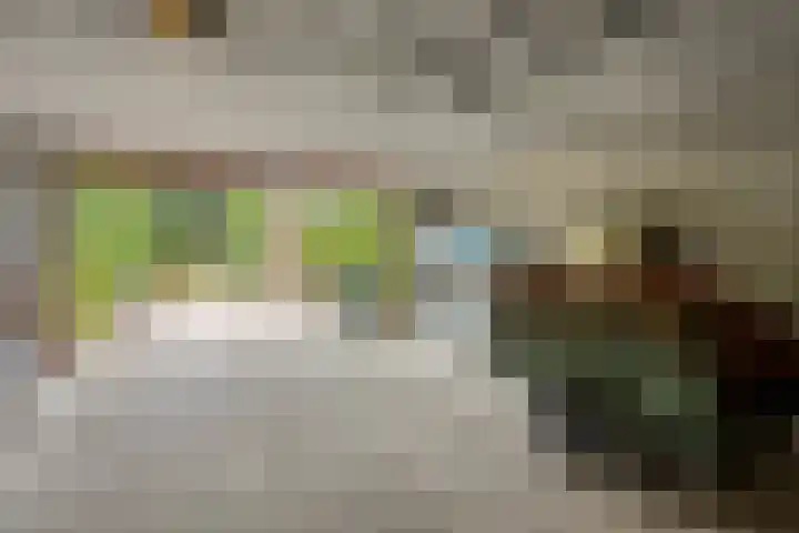 Molenstraat 79 Oss thumbnail 35