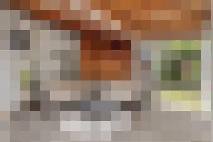 Molenstraat 79 Oss thumbnail 4