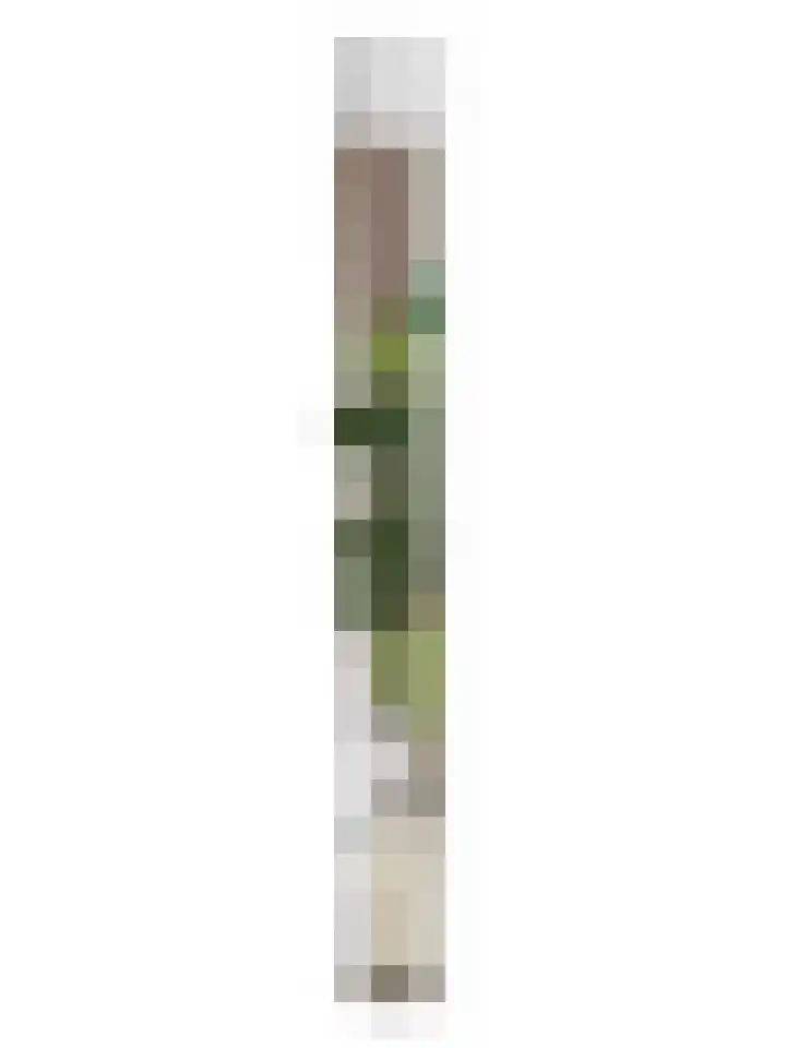 Molenstraat 79 Oss thumbnail 63