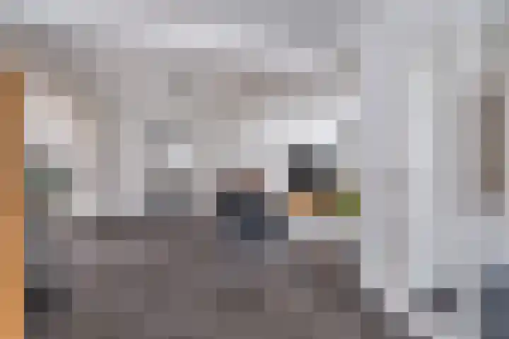Molenstraat 9 Budel thumbnail 10