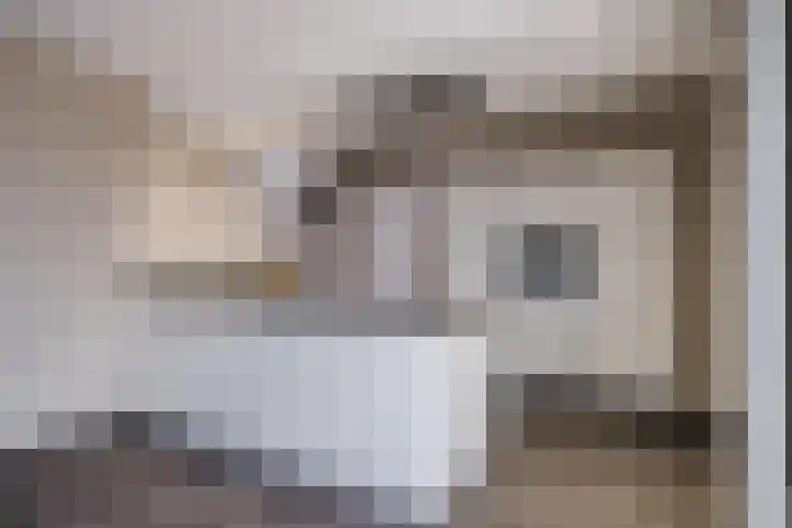 Molenstraat 9 Budel thumbnail 14