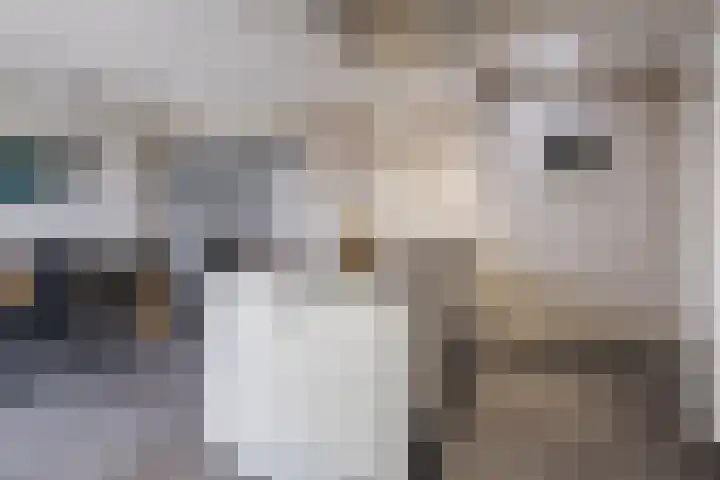 Molenstraat 9 Budel thumbnail 15