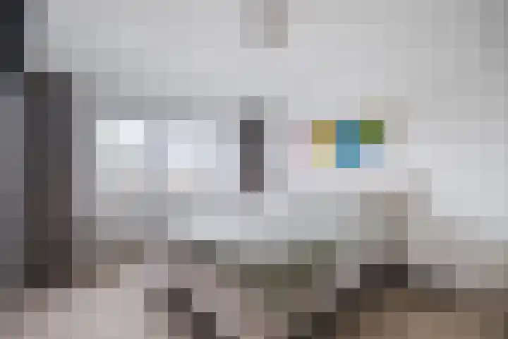Molenstraat 9 Budel thumbnail 22