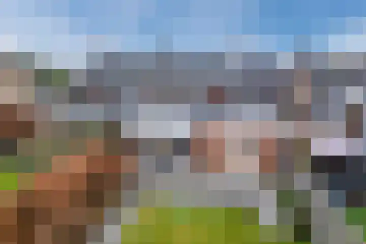 Molenstraat 9 Budel thumbnail 30