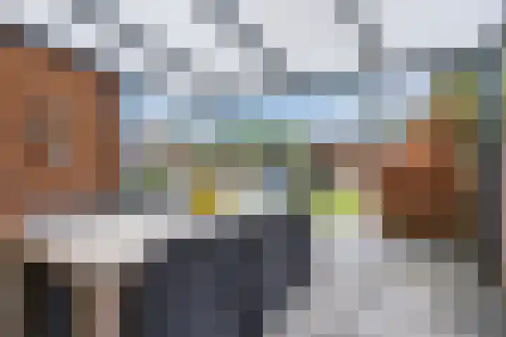 Molenstraat 9 Budel thumbnail 31
