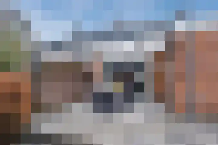 Molenstraat 9 Budel thumbnail 34