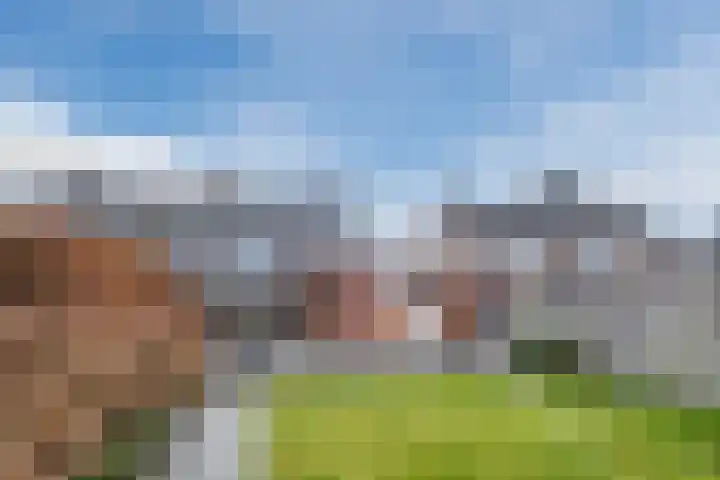 Molenstraat 9 Budel thumbnail 35