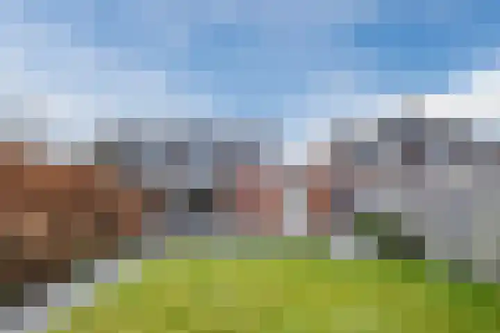 Molenstraat 9 Budel thumbnail 36