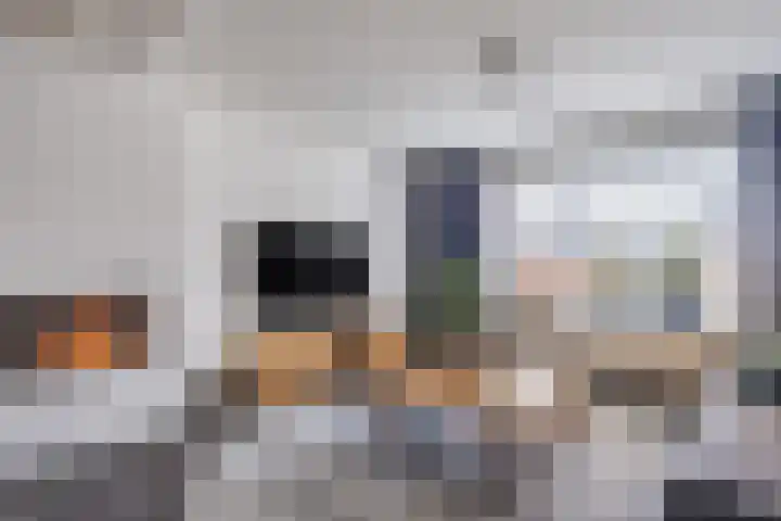 Molenstraat 9 Budel thumbnail 6